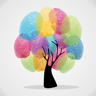 arbre2
